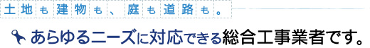 土地も建物も、庭も道路も。
                あらゆるニーズに対応できる総合工事業者です。